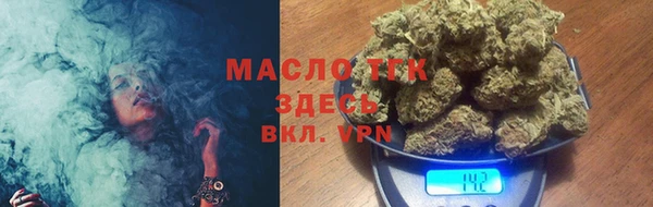 дмт Осташков
