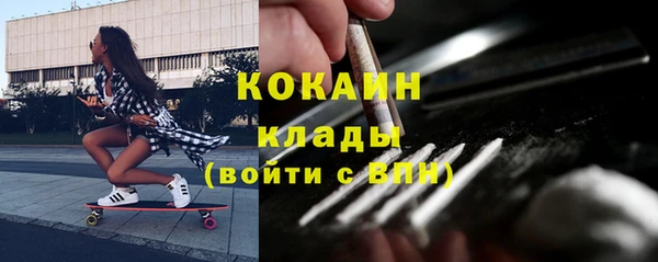 дмт Осташков