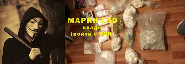 PSILOCYBIN Няндома