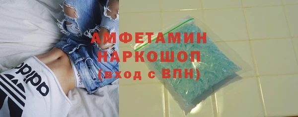 PSILOCYBIN Няндома