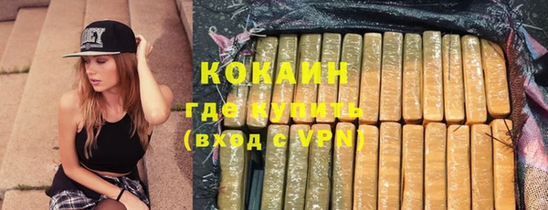 PSILOCYBIN Няндома