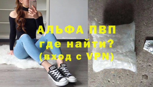 spice Осинники