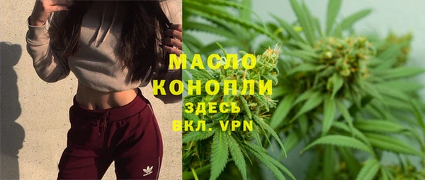 дмт Осташков