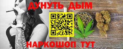 мдпв Гатчина