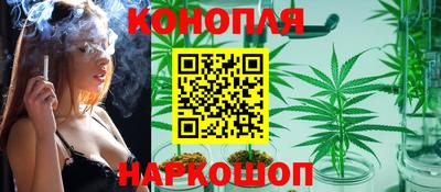 мдпв Гатчина