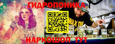 прущие грибы Абинск