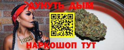 мдпв Гатчина