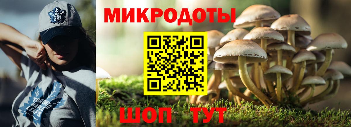 Азов  Псилоцибиновые грибы Psilocybe  Вход с VPN 