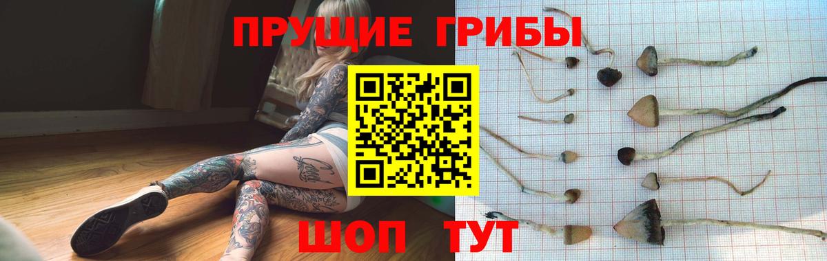 Галлюциногенные грибы мицелий  Азов  Галлюциногенные грибы мухоморы 