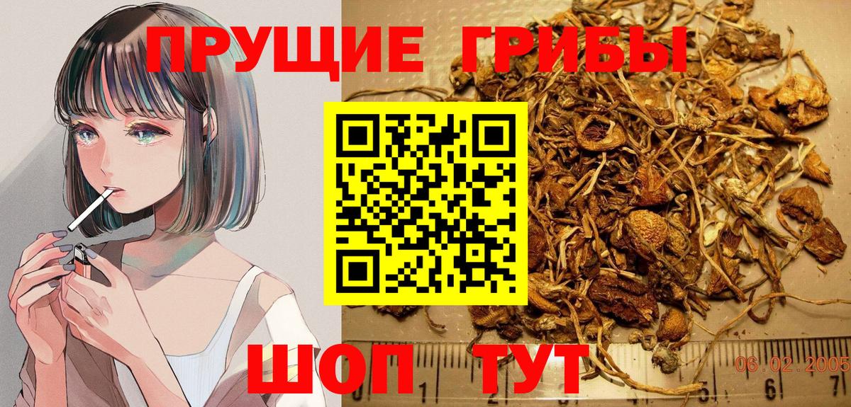 Галлюциногенные грибы Psilocybine cubensis Азов