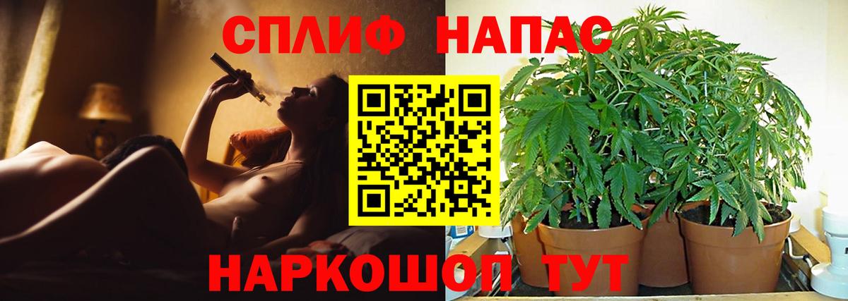 Бошки Шишки план  Шишки марихуана планчик  Вход с VPN  Азов 